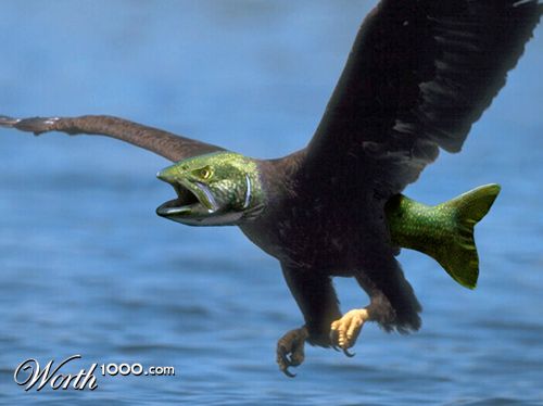 Treagle