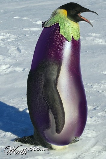 Pengegguin