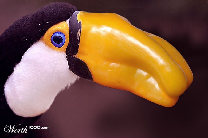 Pepper Tucan