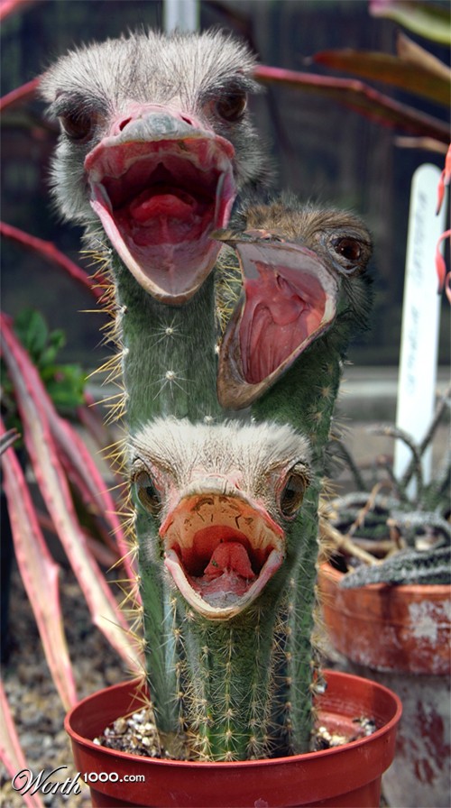 Feed Me