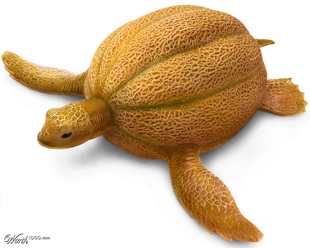 Cantaloupesaurus