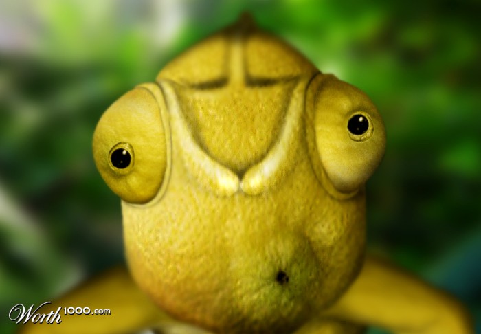 Chamelemon
