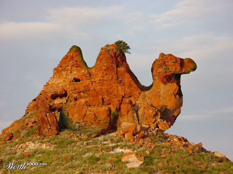 Camel Rock