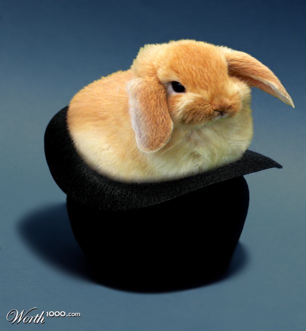 Chubby Bunny