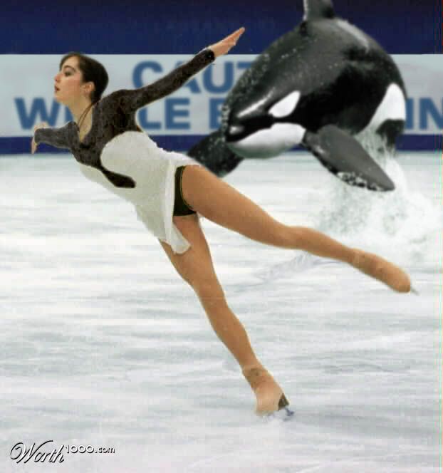 Caution: Whale Breaching