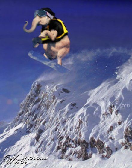 Elephants can't fly
