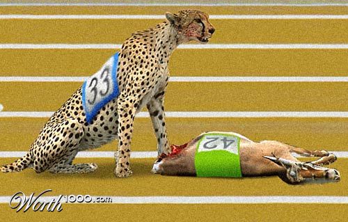 Disqualified
