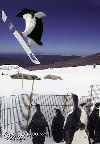 Freestyle Penguin