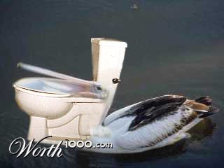 pelican toilet