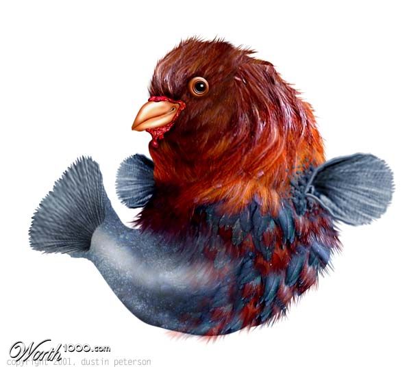 Ficken