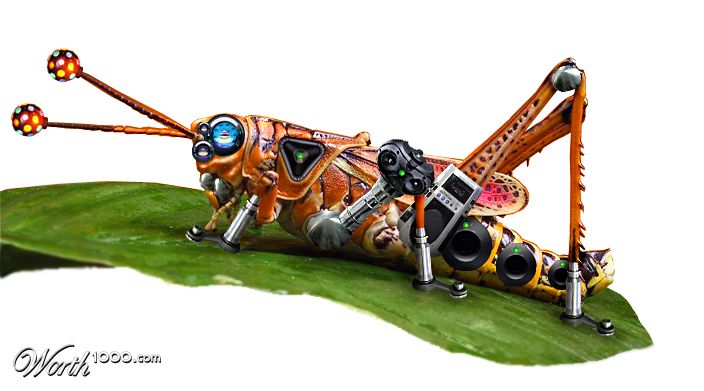 grassthumper