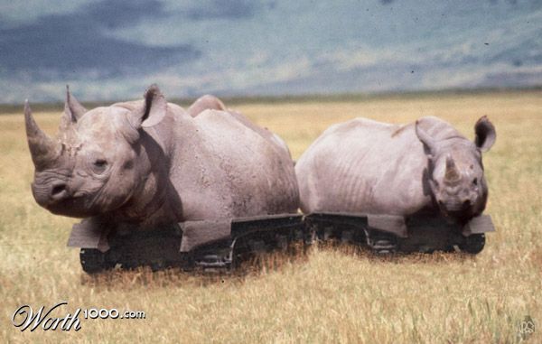 Rhinotank