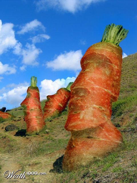 Carrot Moai