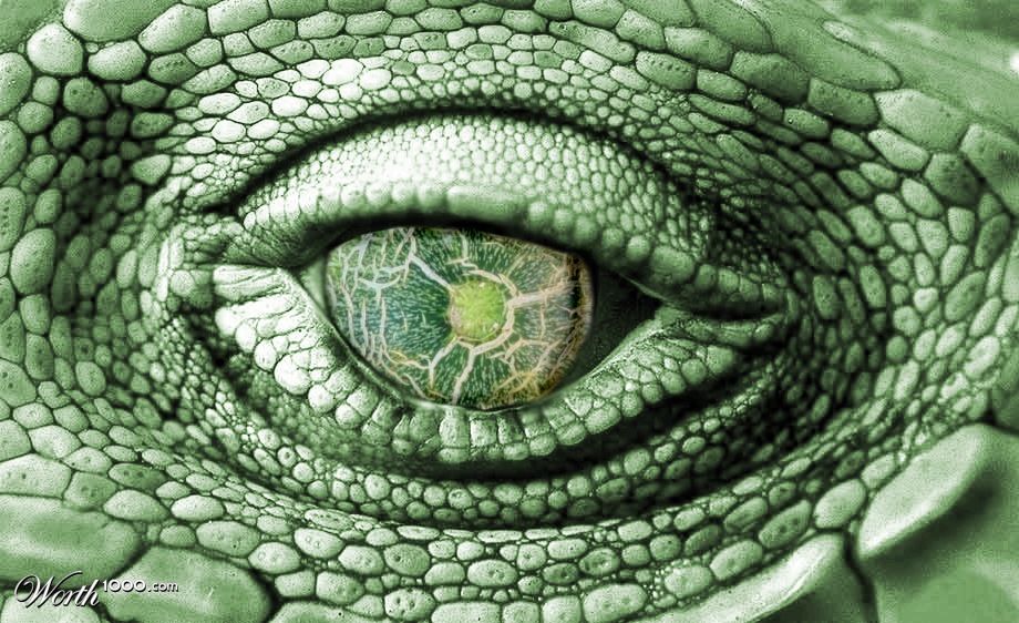 Zucchini Eyeball