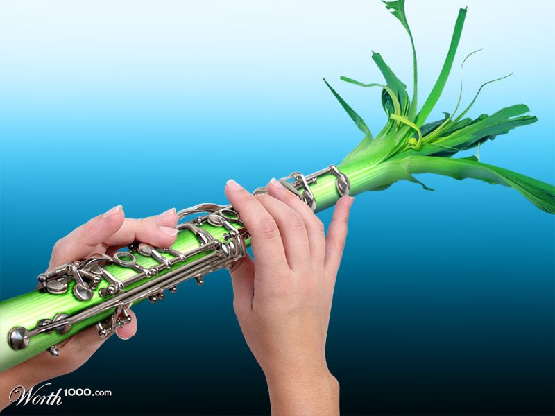leek