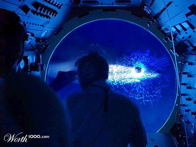Bait