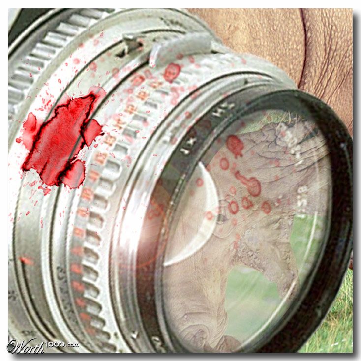 auto focus?