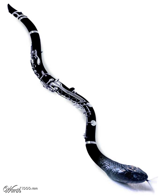 PUFF ADDER