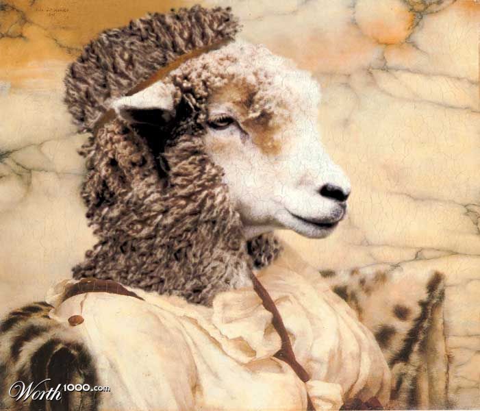 Godward's Sheep