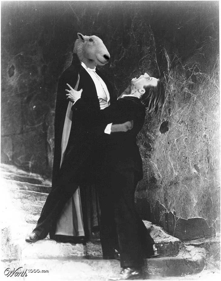 Count Sheep