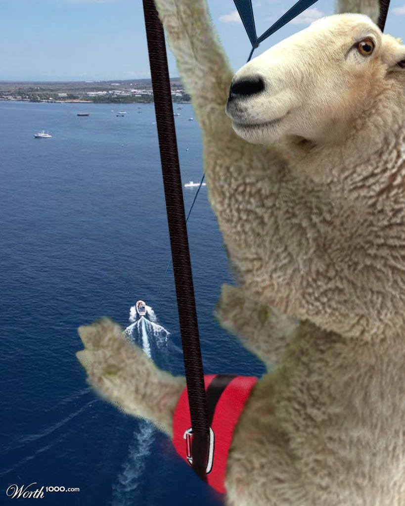 On Vacation