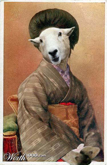 sheepsha