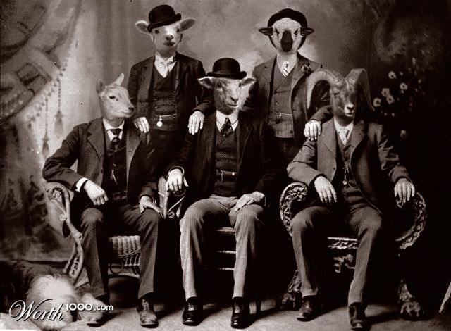 Hole in the Wool gang