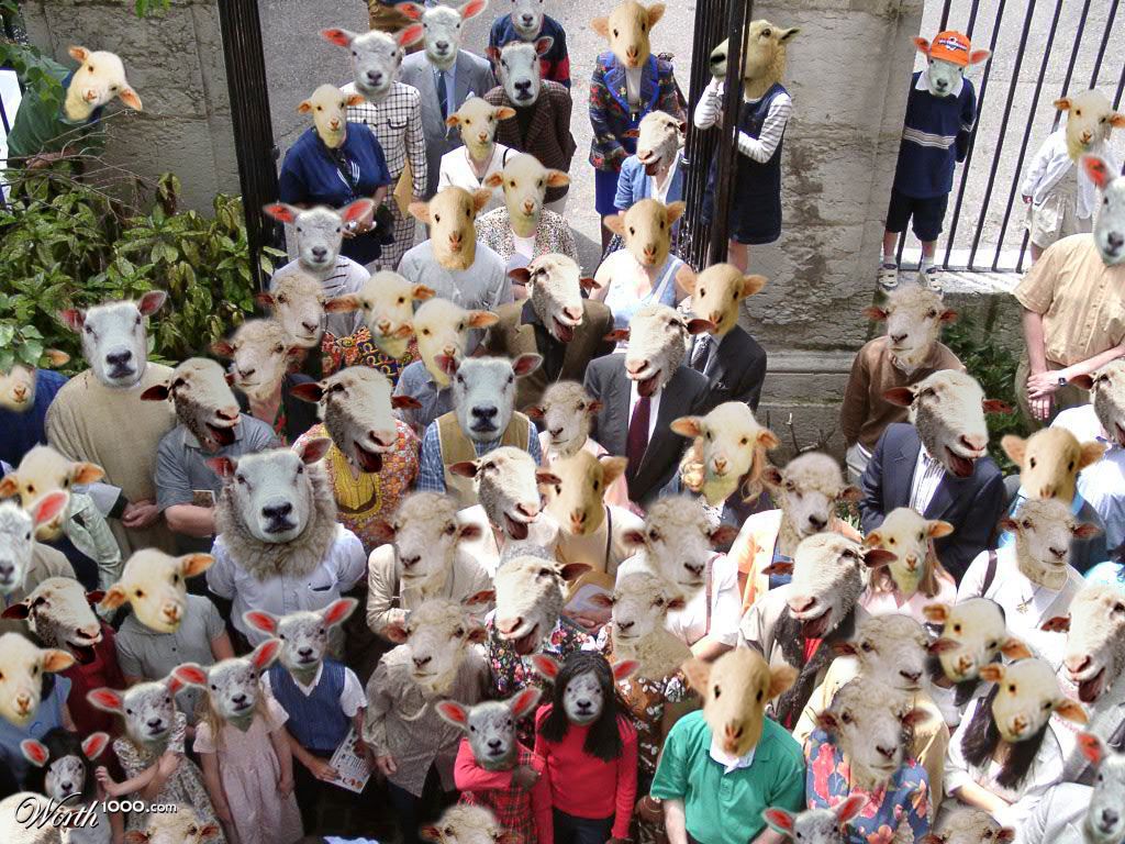 Sheep Uprising!