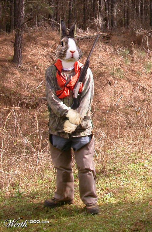 Rabbit Hunt