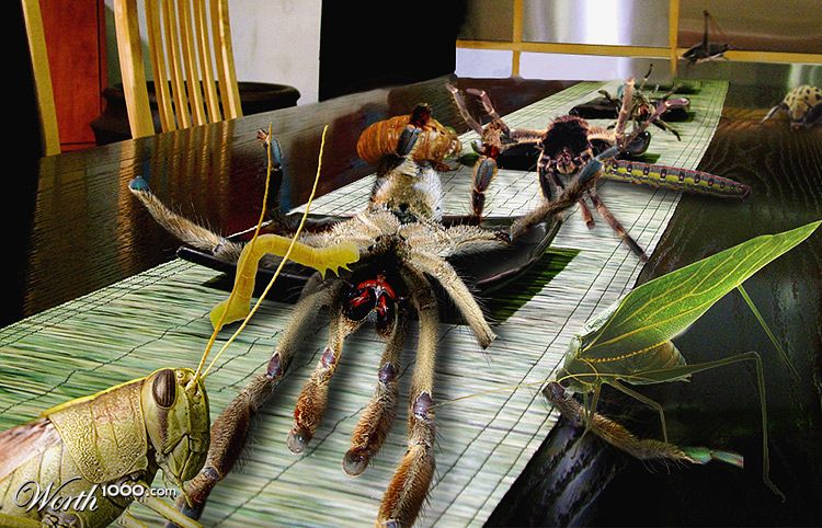 Insects Get The Payback