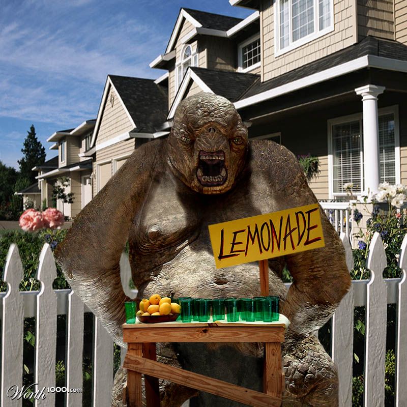 Lemonade Anyone???