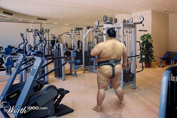 sumo