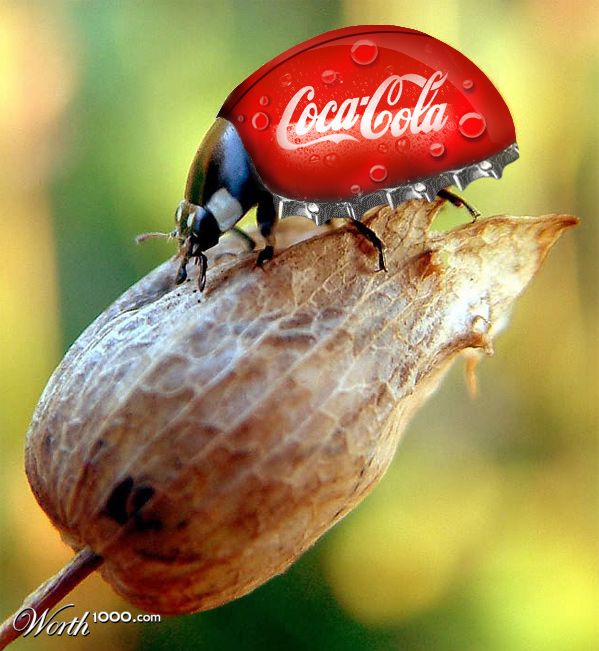 cokebug