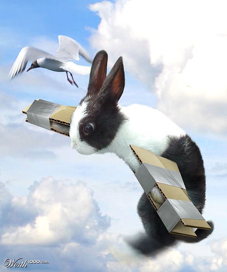 Flying Bunny
