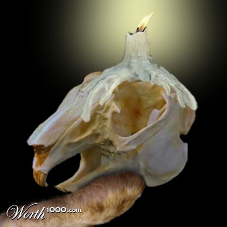 Yorick Cottontail