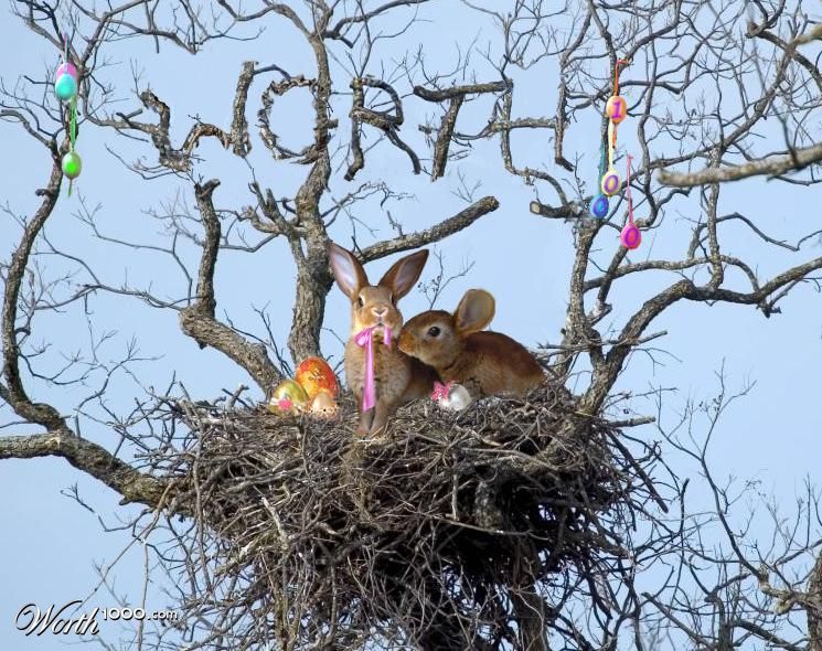Easter Tree