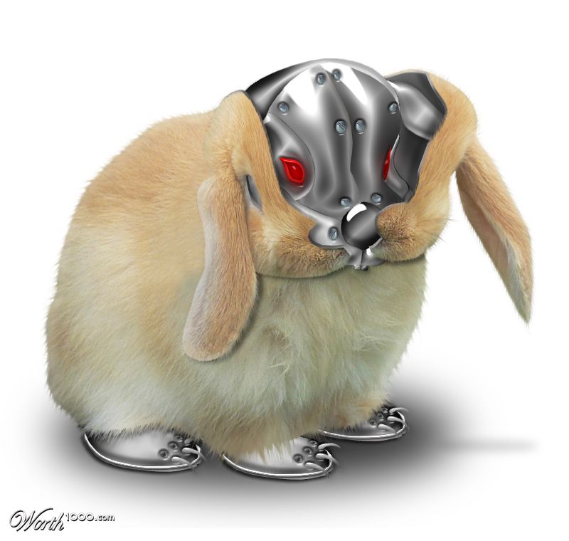 Rabbbbbot