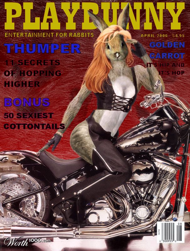 PlayBunny Magazine