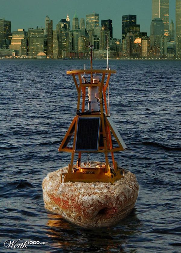 Donut Harbour