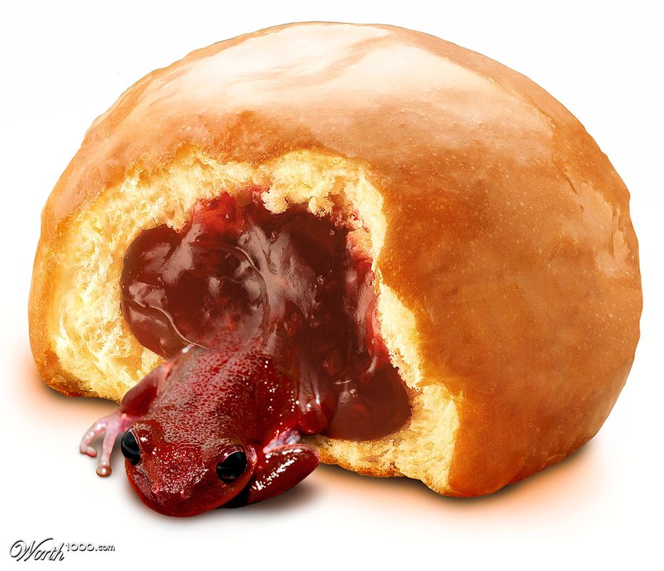 Donut Surprise