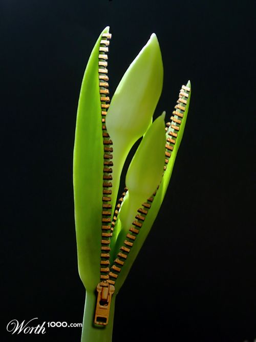 Leaf zip