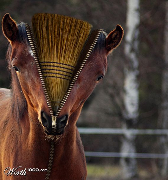I'm a Broom