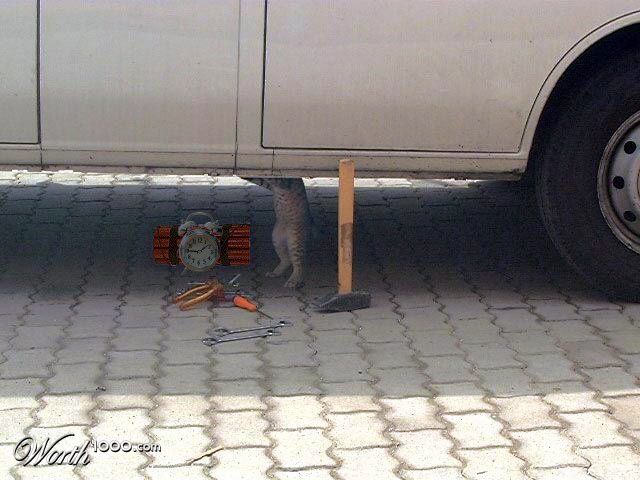 Car Bomb