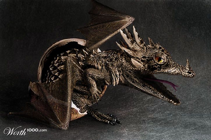 The Hatchling