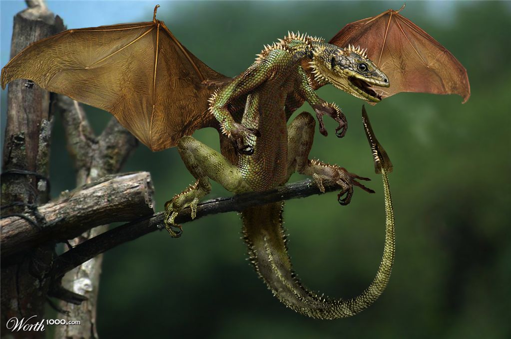 green dragon