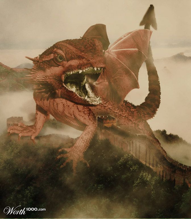 The Dragon