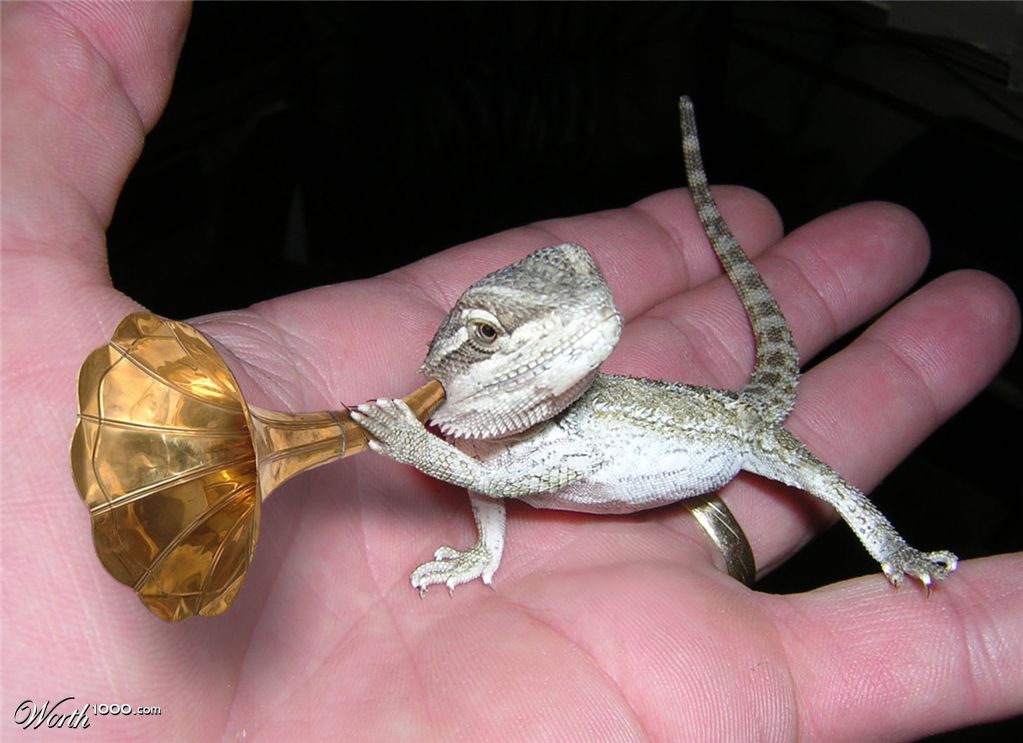 DefLizard
