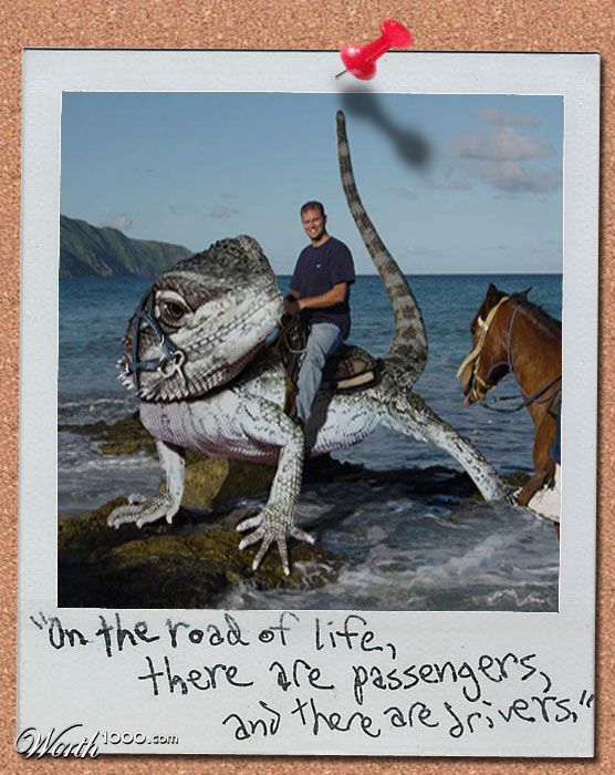 lizardback