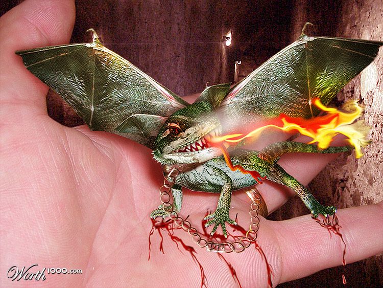 Baby Dragon Simon