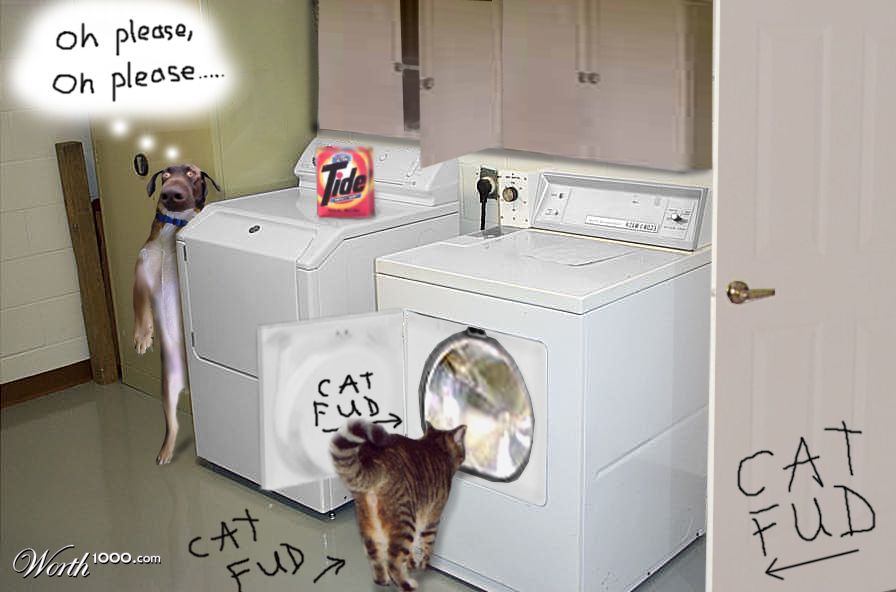 Cat Fud